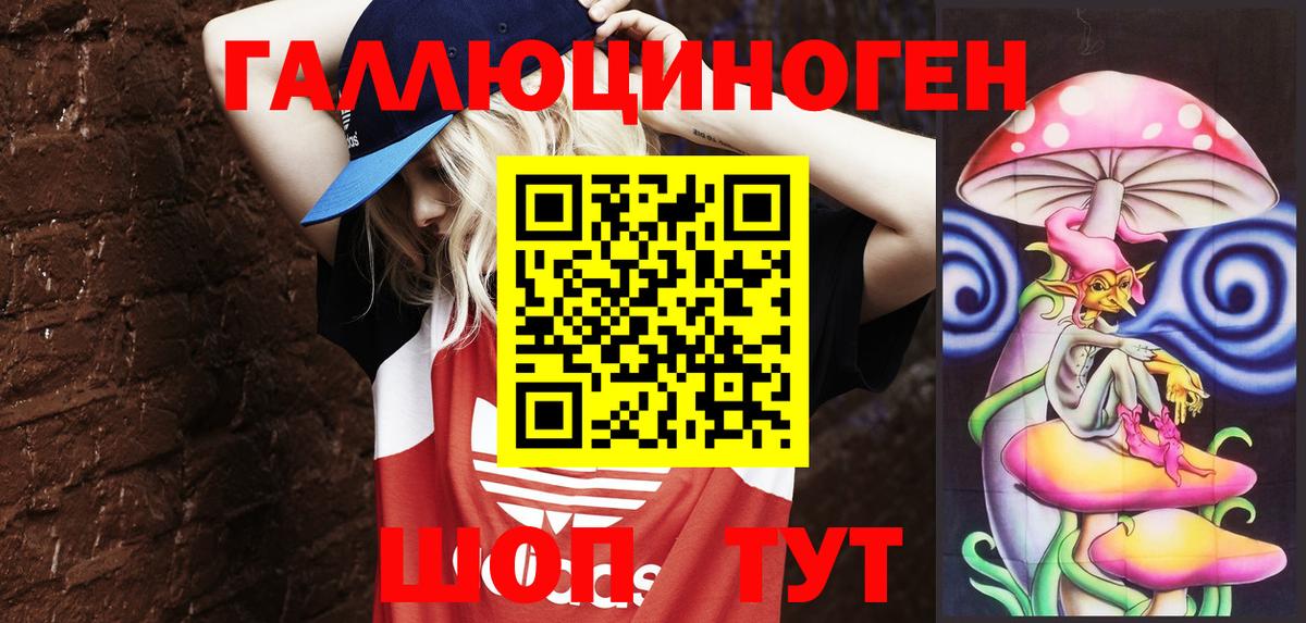 Галлюциногенные грибы Psilocybe Губкин
