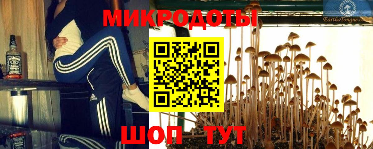 Губкин  Галлюциногенные грибы ЛСД  Вход с VPN 