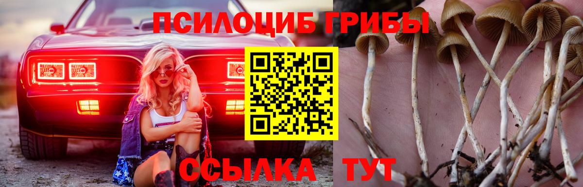 Гашиш  Губкин  Экстази  МЕФ кристаллы  Вход с VPN  НБОМе  ГАШИШ  Каннабис 